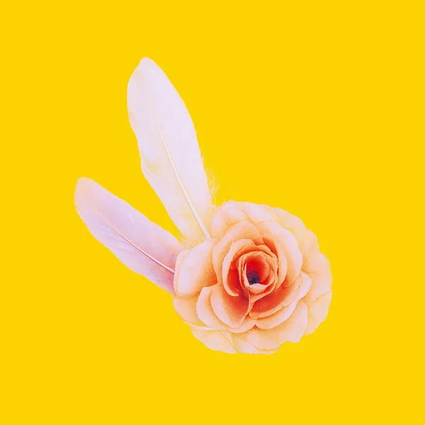 Fjädrar och blomma delikat minimalistisk konst — Stockfoto