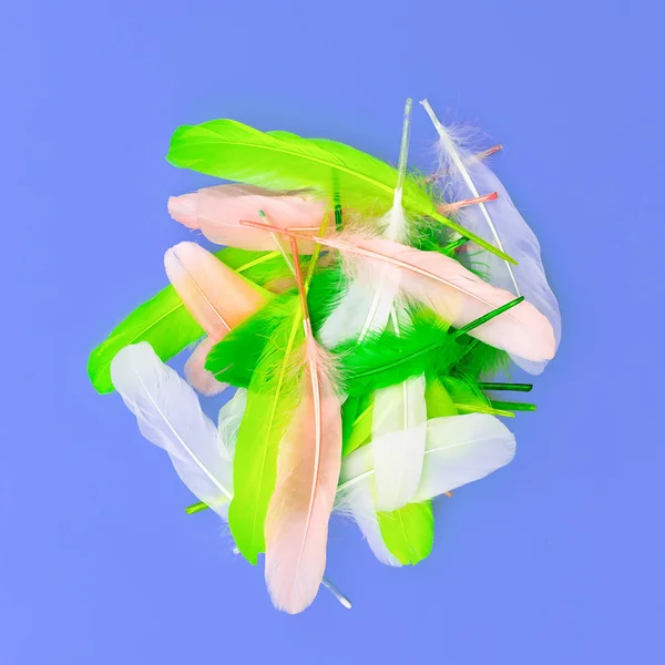 Doezelaar set candy kleuren minimal art design mode — Stockfoto