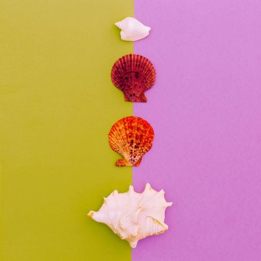 Kabukları ayarlayın. Okyanus stili. Minimal sanat moda tasarımı