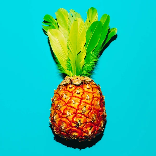 Mix. peří a ananas. Minimalistický design nápad — Stock fotografie