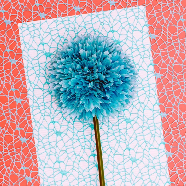 Blaue Blume. Minimale Kunst — Stockfoto