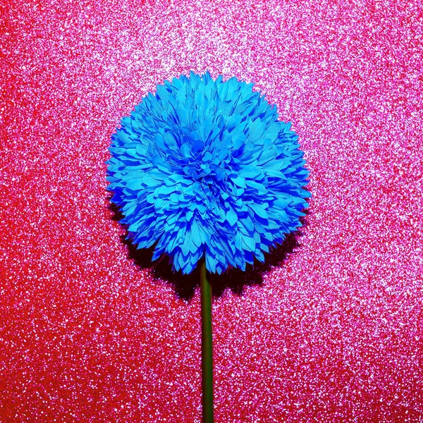 Blue flower and glitter. Minimal art — Stock Photo, Image