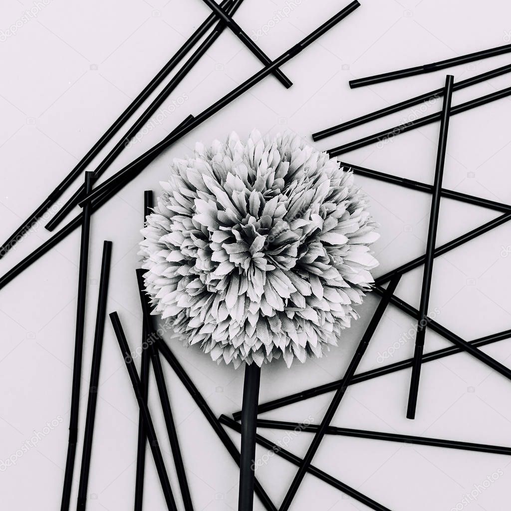 Flower black and white minimal art