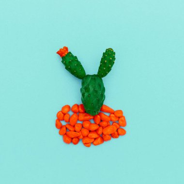 Mavi bir arka plan üzerinde Mini kaktüs. Minimal sanat