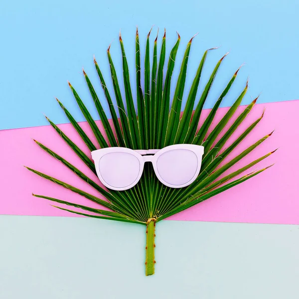 Palmo e occhiali da sole. Stile tropicale minimale — Foto Stock