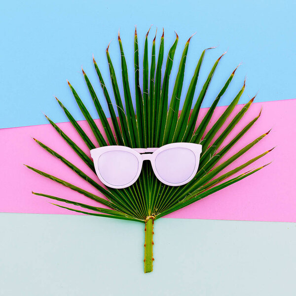 Palm and sunglasses. Tropic style minimal
