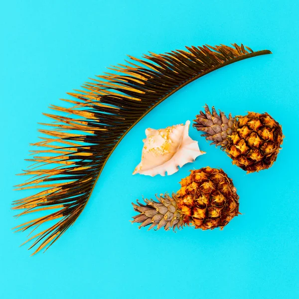 Tropiska set. Ananas, snäckor, palm. Minimal — Stockfoto