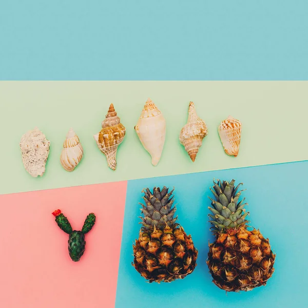 Tropics set. Pineapple shells cactus.Minimal art — Stock Photo, Image
