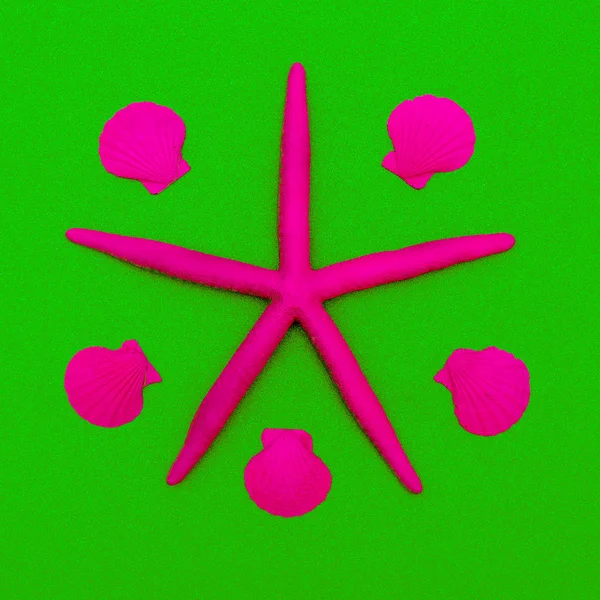 핑크 네온 불가사리와 조개입니다. 최소한의 디자인 — 스톡 사진