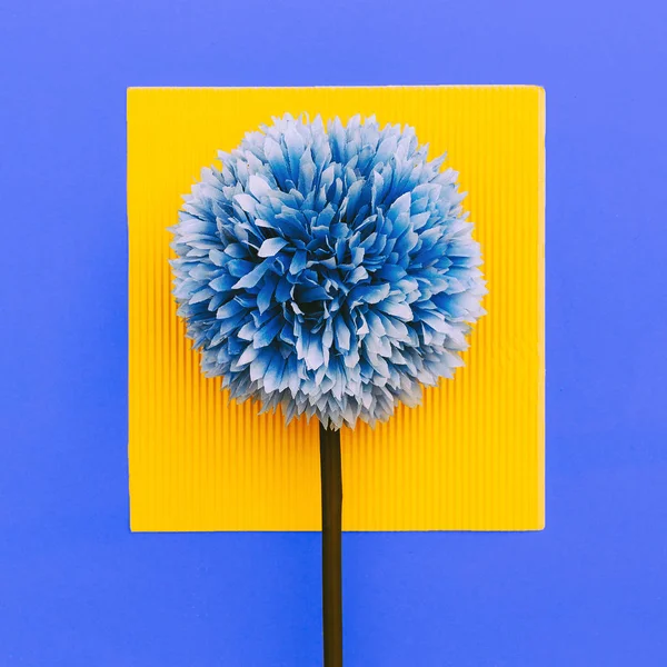 Virág a geometria háttér. Minimal art — Stock Fotó