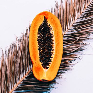 Tropikal tarzı. Papaya taze Minimal sanat tasarım