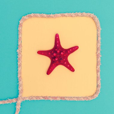 Deniz yıldızı bir çerçeve içinde. Beach tarzı. En az