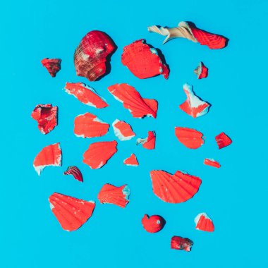 Kırık kabuk. Minimal sanat tasarım