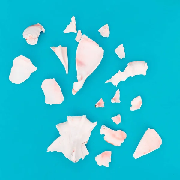 Fragments of broken shells. Art minimal — Stock Photo, Image