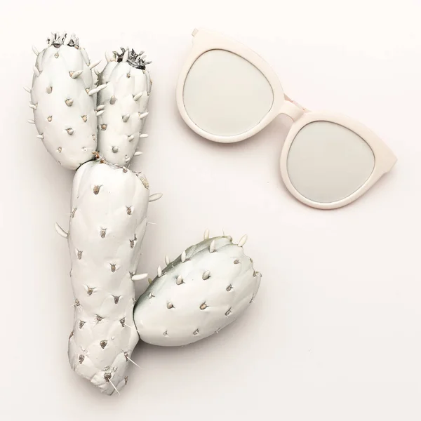 White Cactus and white glasses. Art. Minimal design — Stock Photo, Image