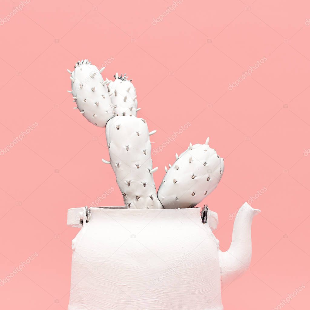 White Cactus in a White Teapot. Minimal style design