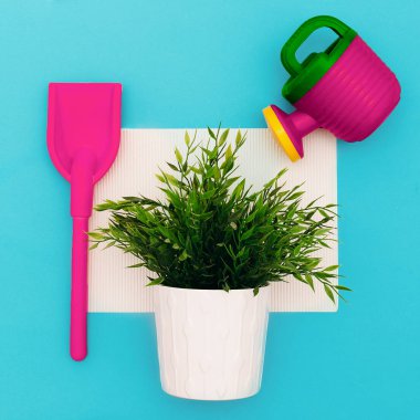 Çiçekçi kümesi. Minimal sanat tasarım