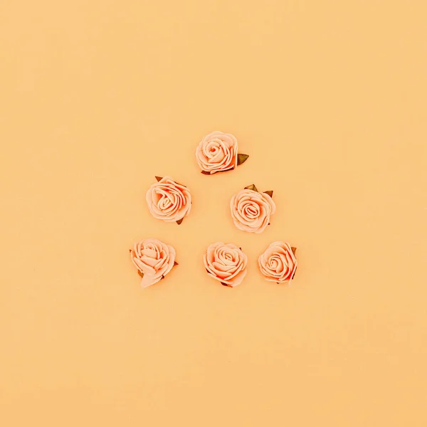 Roses on a pastel background. Candy colors Minimal art — Stock Photo, Image