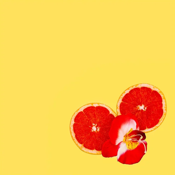 Γκρέιπφρουτ και κόκκινα λουλούδια ελάχιστη τέχνη. Σχεδιασμός — Φωτογραφία Αρχείου