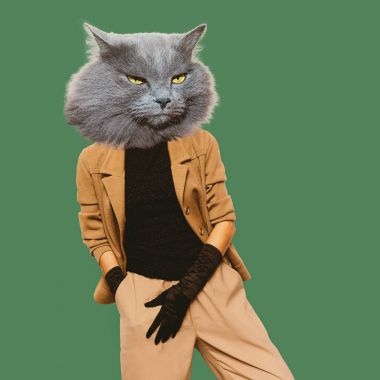 Kedi. Vintage giyim. Sanat kolaj. En az eğlenceli