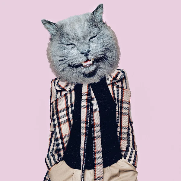 Hooligan Cat nel cappotto a scacchi Art collage. Divertimento minimo — Foto Stock