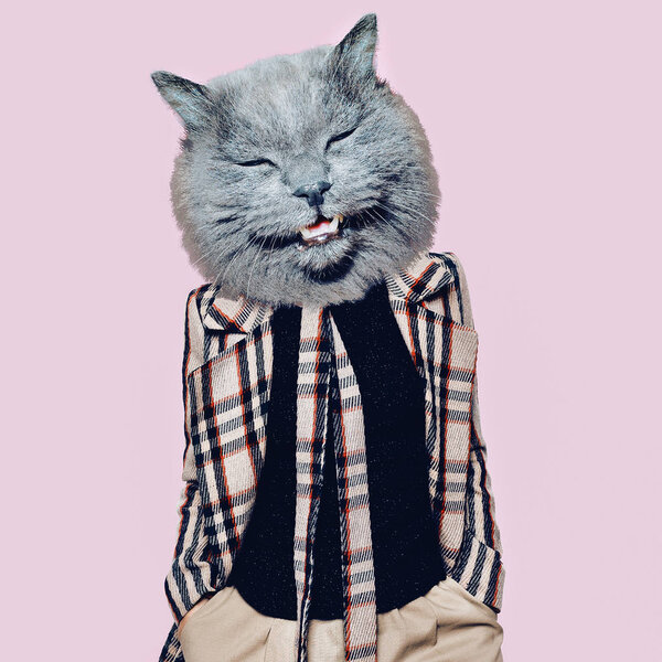 Hooligan Cat in the checkered coat Art collage. Minimal fun