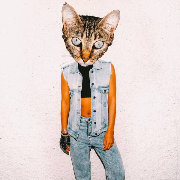 Konst kollage katt i moderiktiga jeans kläder. Minimal fläkt — Stockfoto