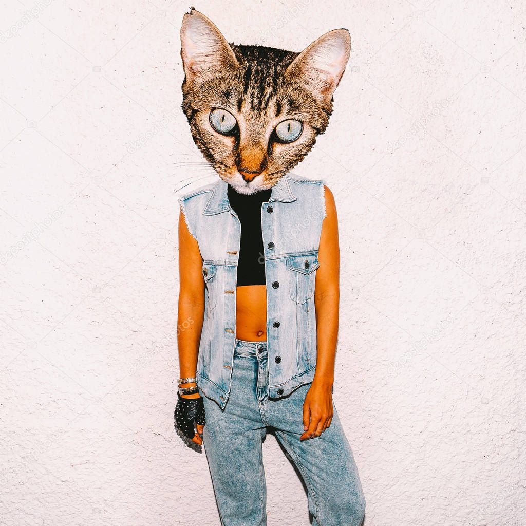 Art collage Cat  in fashionable jeans clothes. Minimal fan