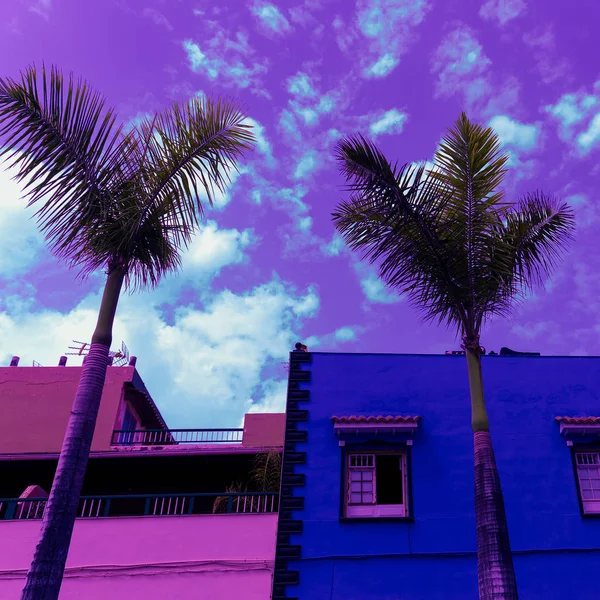 Minimalne moda miast sztuki. Lokalizacja tropikalnych Palm. — Zdjęcie stockowe