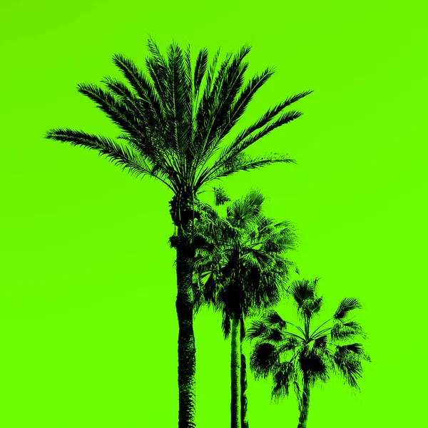 Palmbomen op zuur groen. Minimal art. Ontwerper idee — Stockfoto