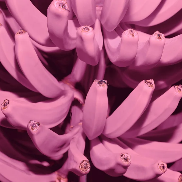 Moda de bananas rosa. Arte. Mínimo. Ideia criativa — Fotografia de Stock