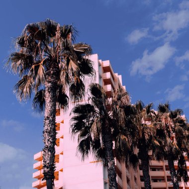 Avuç içi arka plan en az. Şık tropikal kentsel