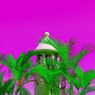 En az moda renk sanat. Palm tropik