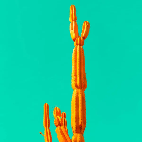 Cactus naranja sobre azul. Arte mínimo —  Fotos de Stock