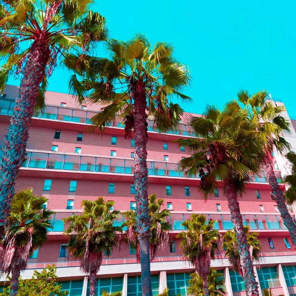 Tropenmode rosa minimal. Palmen und Hotel. stilvolle Farbgebung — Stockfoto