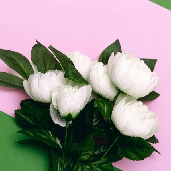 Bukett vita rosor på rosa minimalistisk konstdesign — Stockfoto