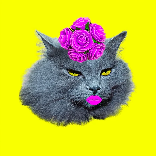 Lady Retro Cat Arte contemporáneo collage de moda mínima — Foto de Stock
