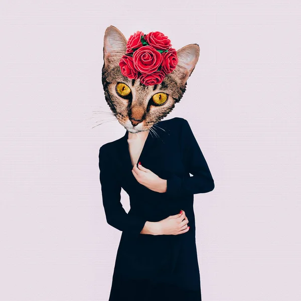 Současné umění koláž. Retro Lady kočka. Minimalistický design Flat l — Stock fotografie