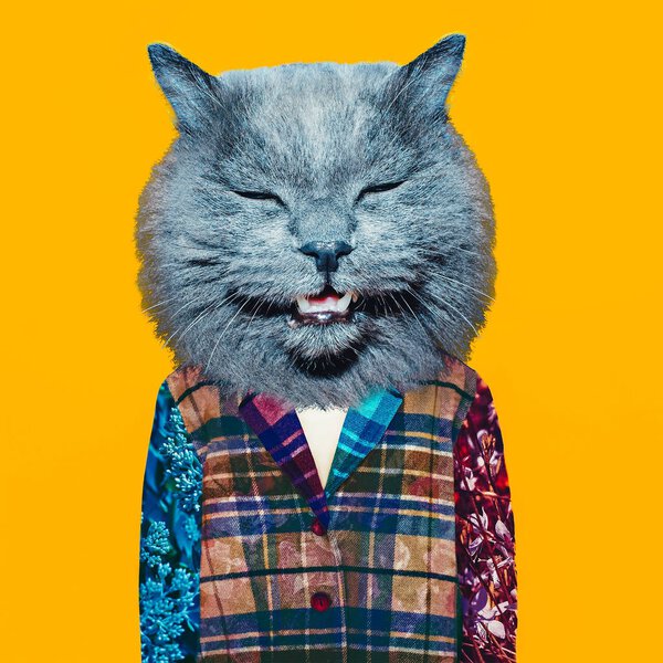 Коллаж современного искусства. Бездомный кот. Минимальный стиль одежды
