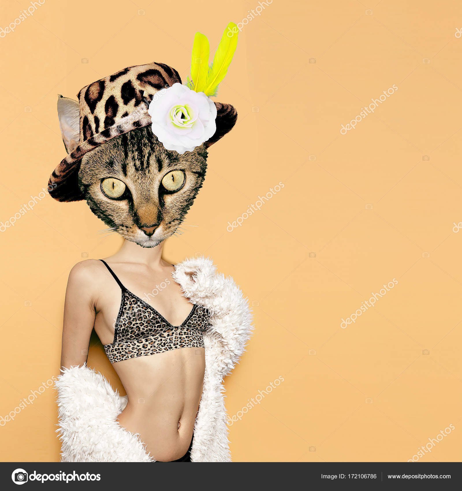 sexy kočička obrázek