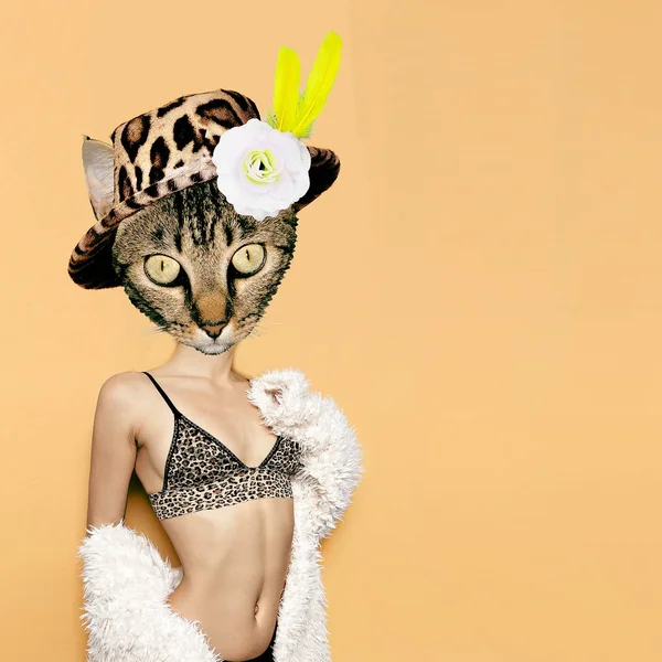 Collage de arte contemporáneo. Gatito sexy y estampado de leopardo. Underwea. — Foto de Stock