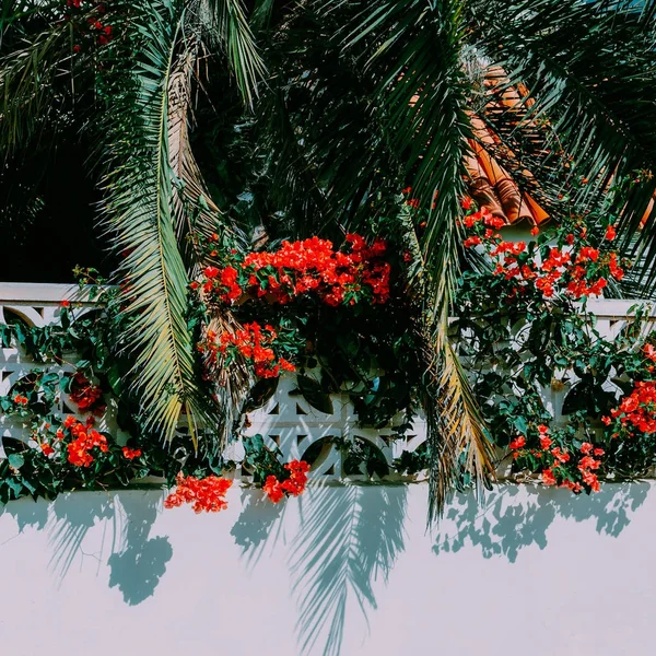 Тропическое расположение фона. Красные цветы и пальмы. Поездки — стоковое фото