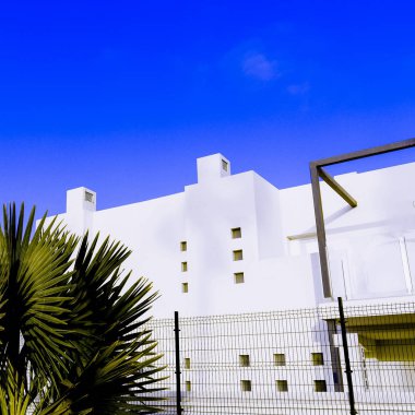 Tropikal kentsel minimal sanat. Palmiye ağacı ve beyaz konumu