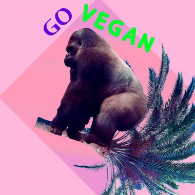 Vegan protein, nereden aldın? Haha komik modern sanat. Vegan git
