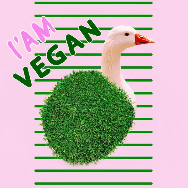 Arte de collage de diseño moderno. Concepto de moda vegana mínima plana . —  Fotos de Stock