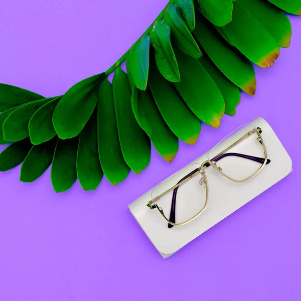 Lunettes de mode. Accessoire de lunettes élégant pour une femme. Pose plate — Photo