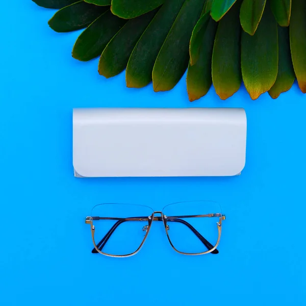 Fashion bril. Stijlvolle Eyewear accessoire. Flat lag minimale — Stockfoto