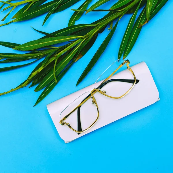 Gafas de moda. Elegante accesorio de gafas. Flat lay Mínimo tre —  Fotos de Stock