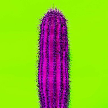 Kaktüs. Kaktüs sevgilisi Minimal tasarım moda renk