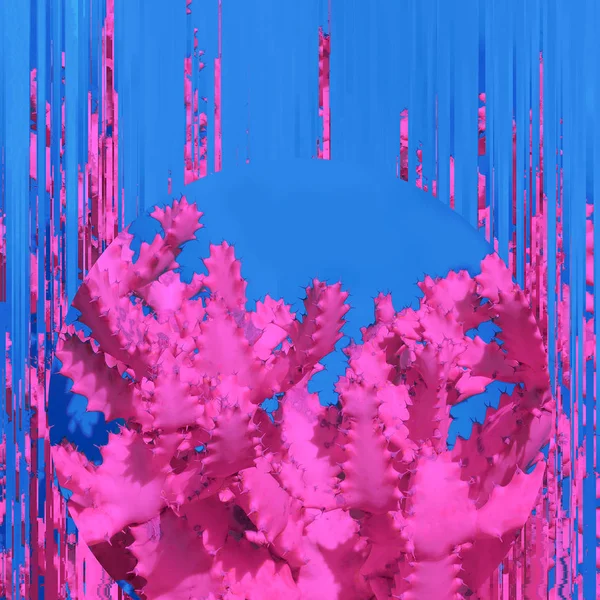 Pink Cactus. Contemporary Art. Glitch Mood. Minimal design fashi — Stock Photo, Image